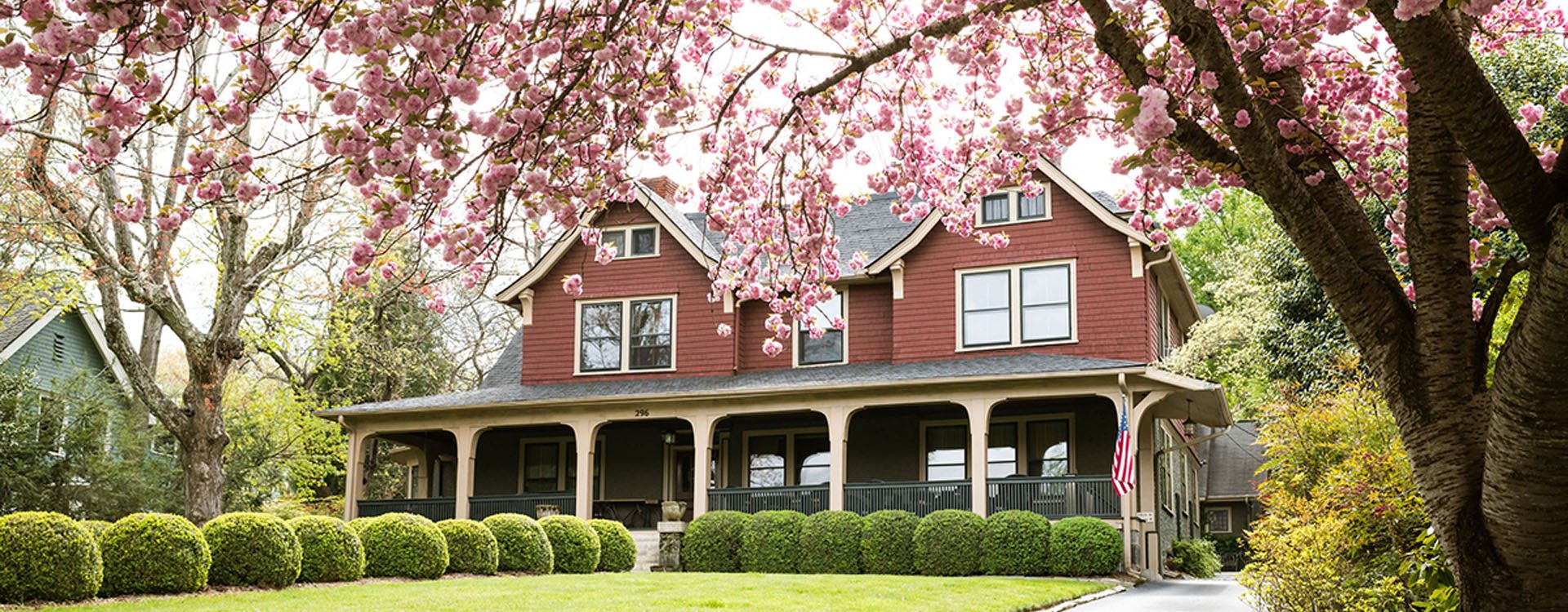 The front side of the Bed and Breakfast in Asheville with two tall trees growing on the sidewalk, NAME OF THE PLANT to the right. Front yard with trimmed lawn and rows of green round ball bushes.