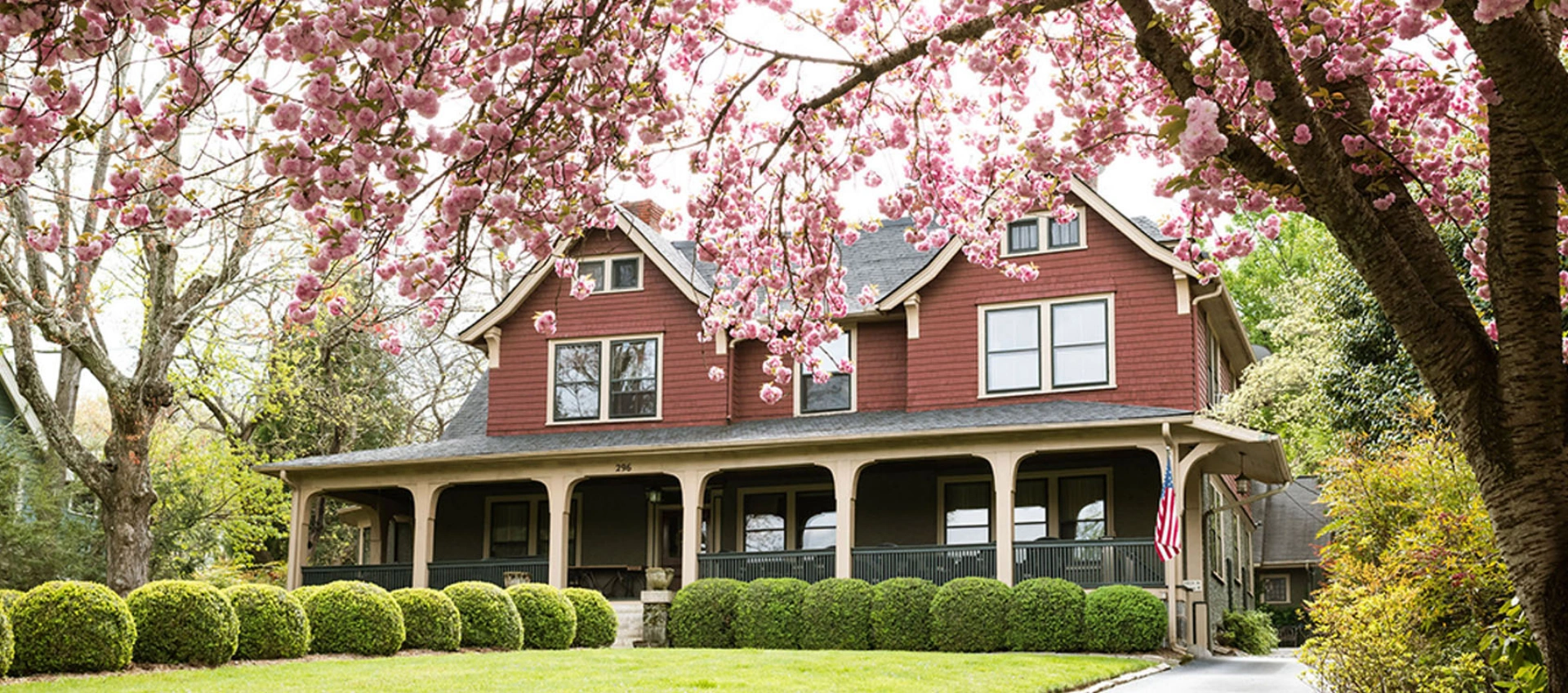 The front side of the Bed and Breakfast in Asheville with two tall trees growing on the sidewalk, NAME OF THE PLANT to the right. Front yard with trimmed lawn and rows of green round ball bushes.