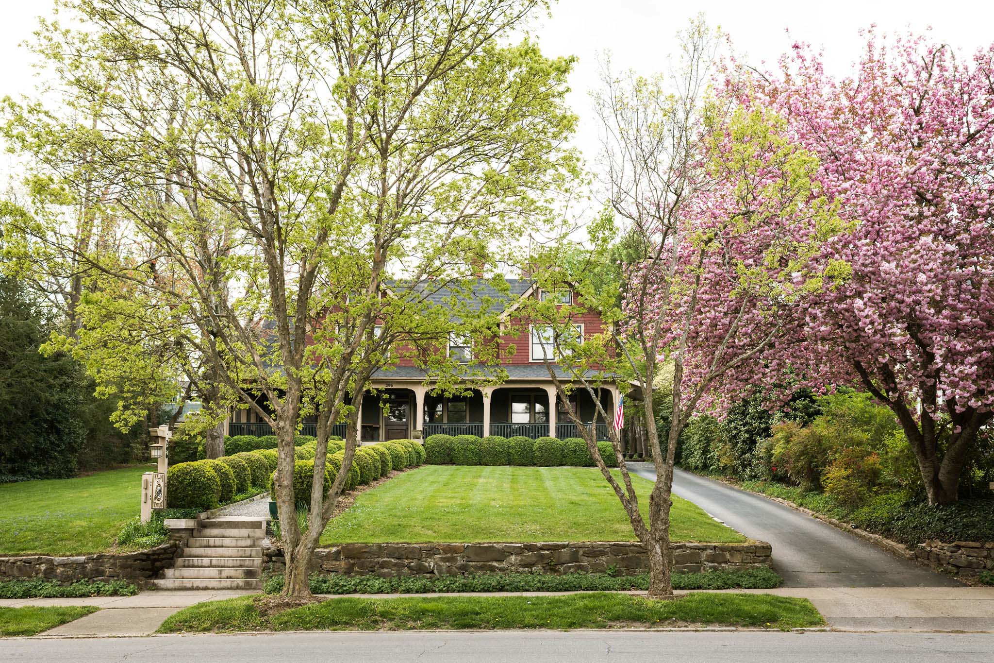 The front side of the Bed and Breakfast in Asheville with two tall trees growing on the sidewalk, cherry blossom trees to the right. Front yard with trimmed lawn and rows of green round ball bushes.