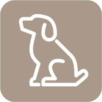 A beige icon with a silhouette of a sitting dog.