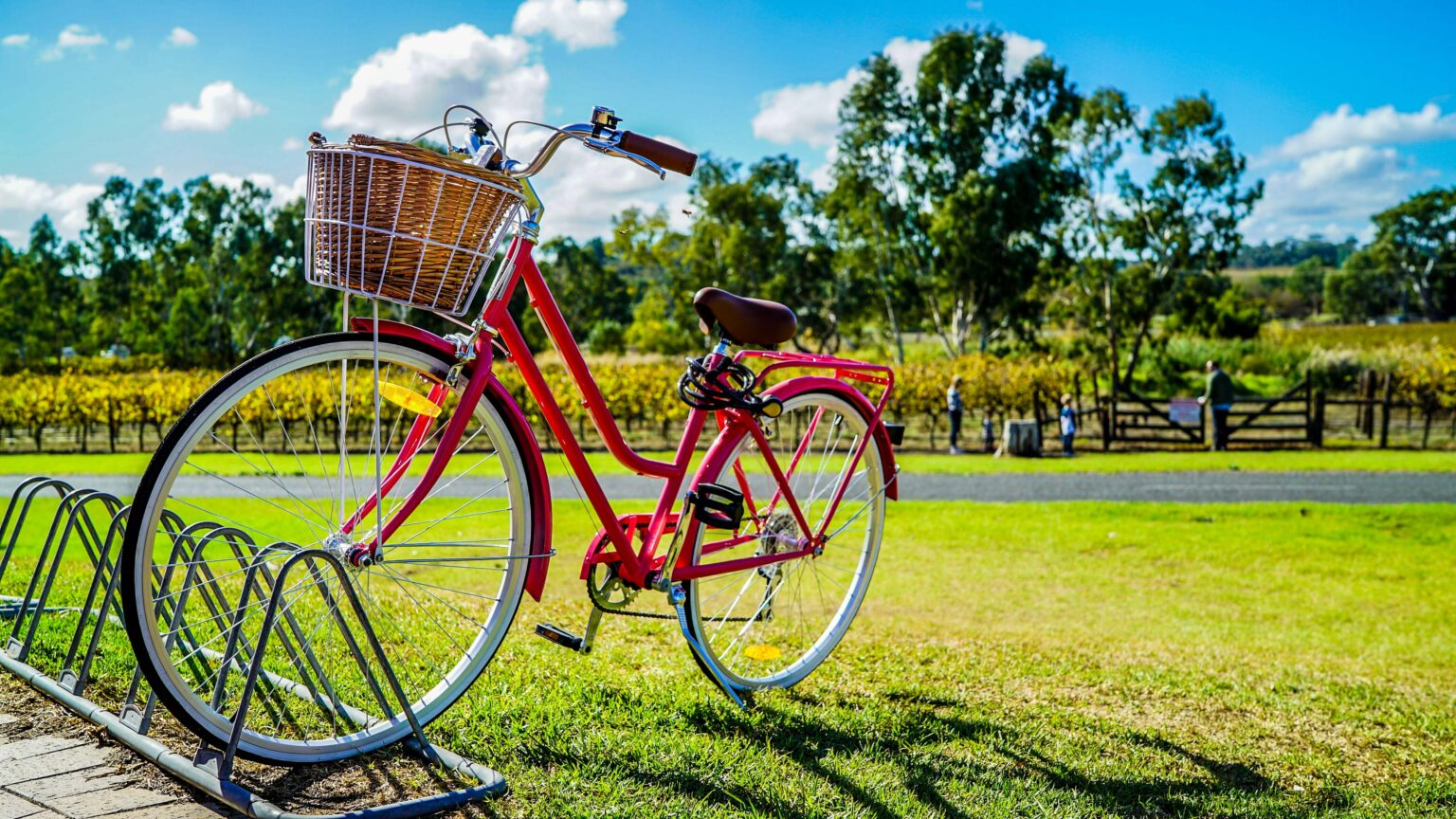 biking&hikingashevillenc