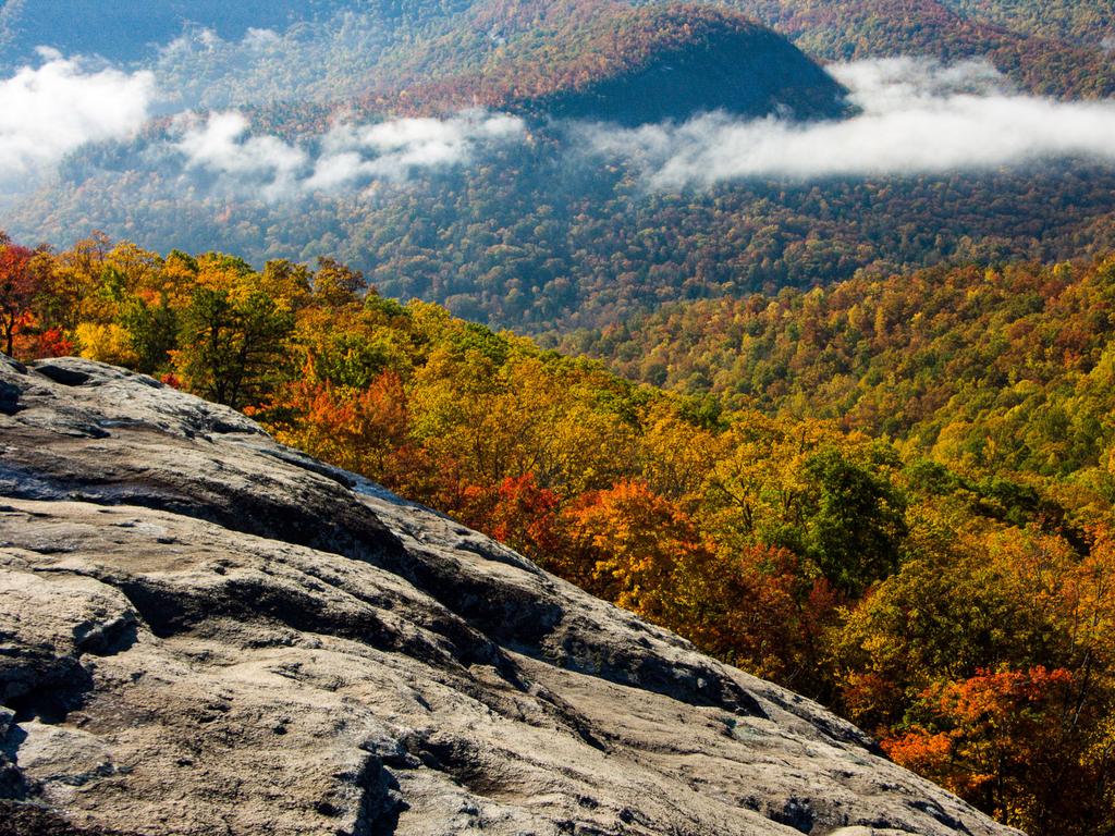 asheville hiking trails