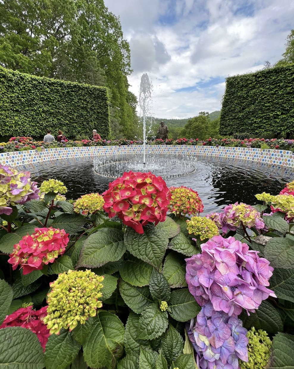 Romantic asheville proposal nc arboretum 