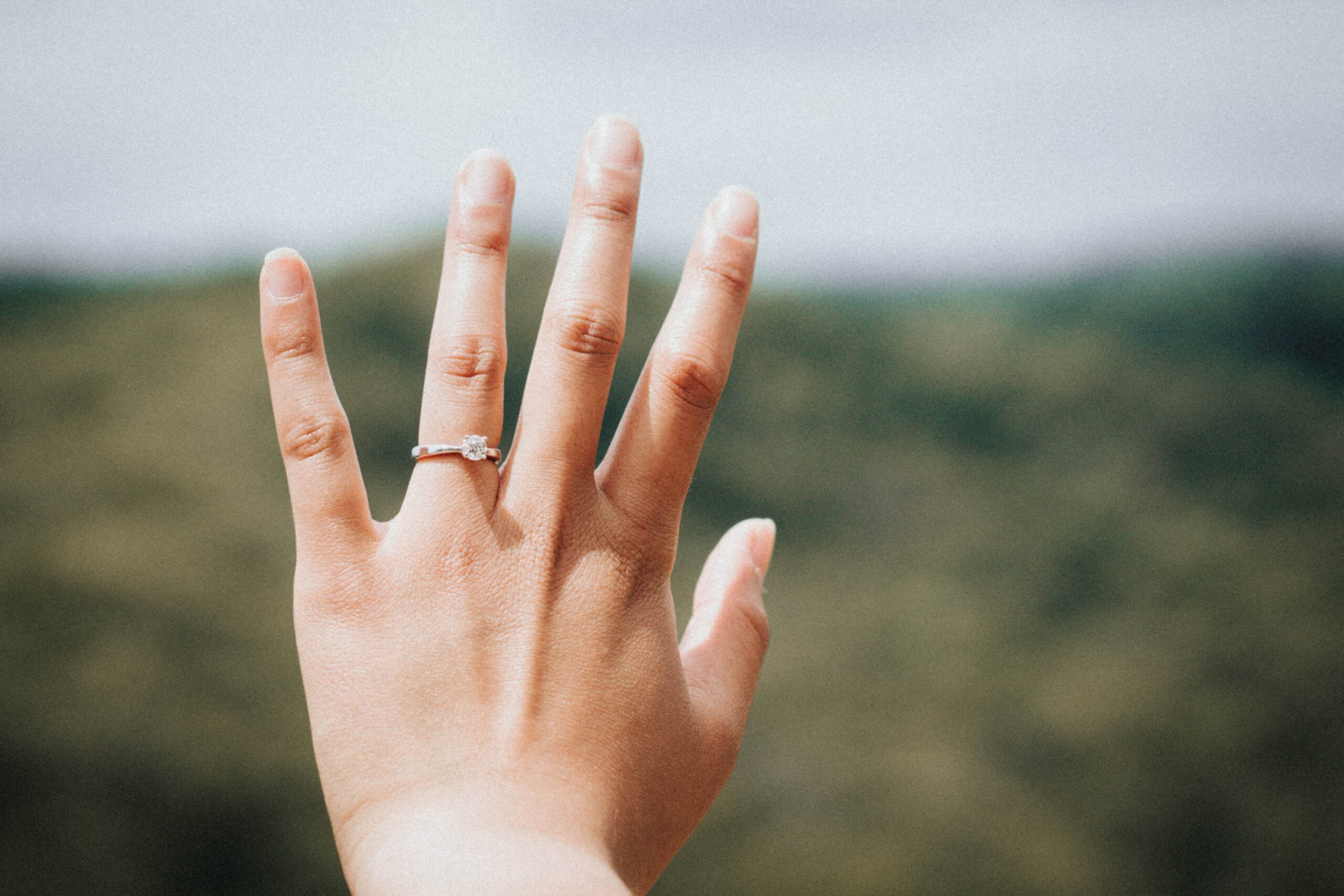 romantic proposal asheville nc