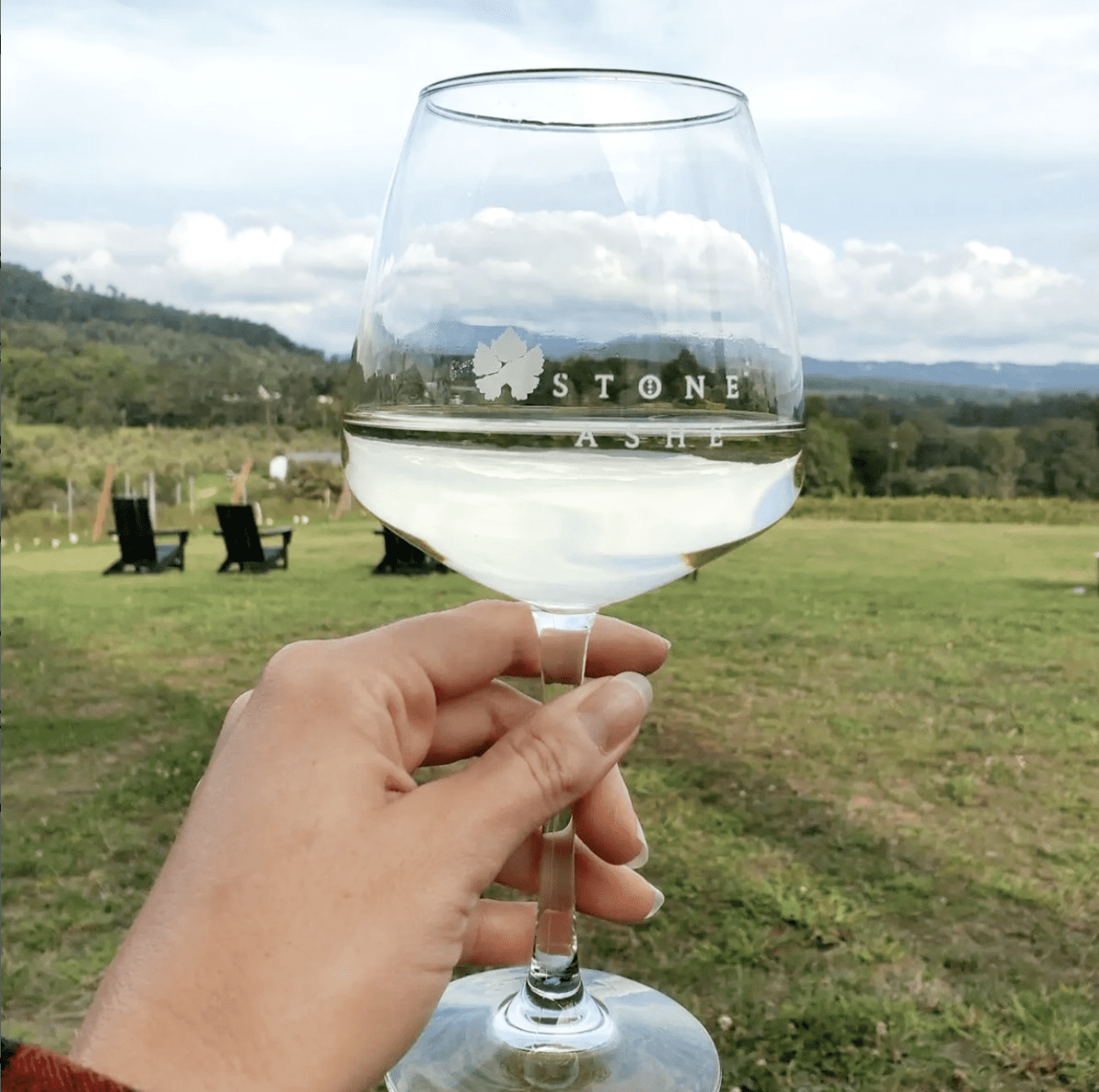 Stone ashe vineyard asheville winery