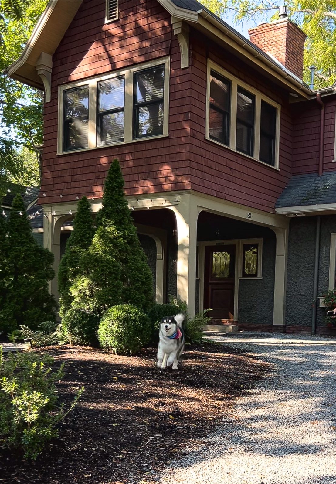 Dog-friendly places to stay Asheville, NC