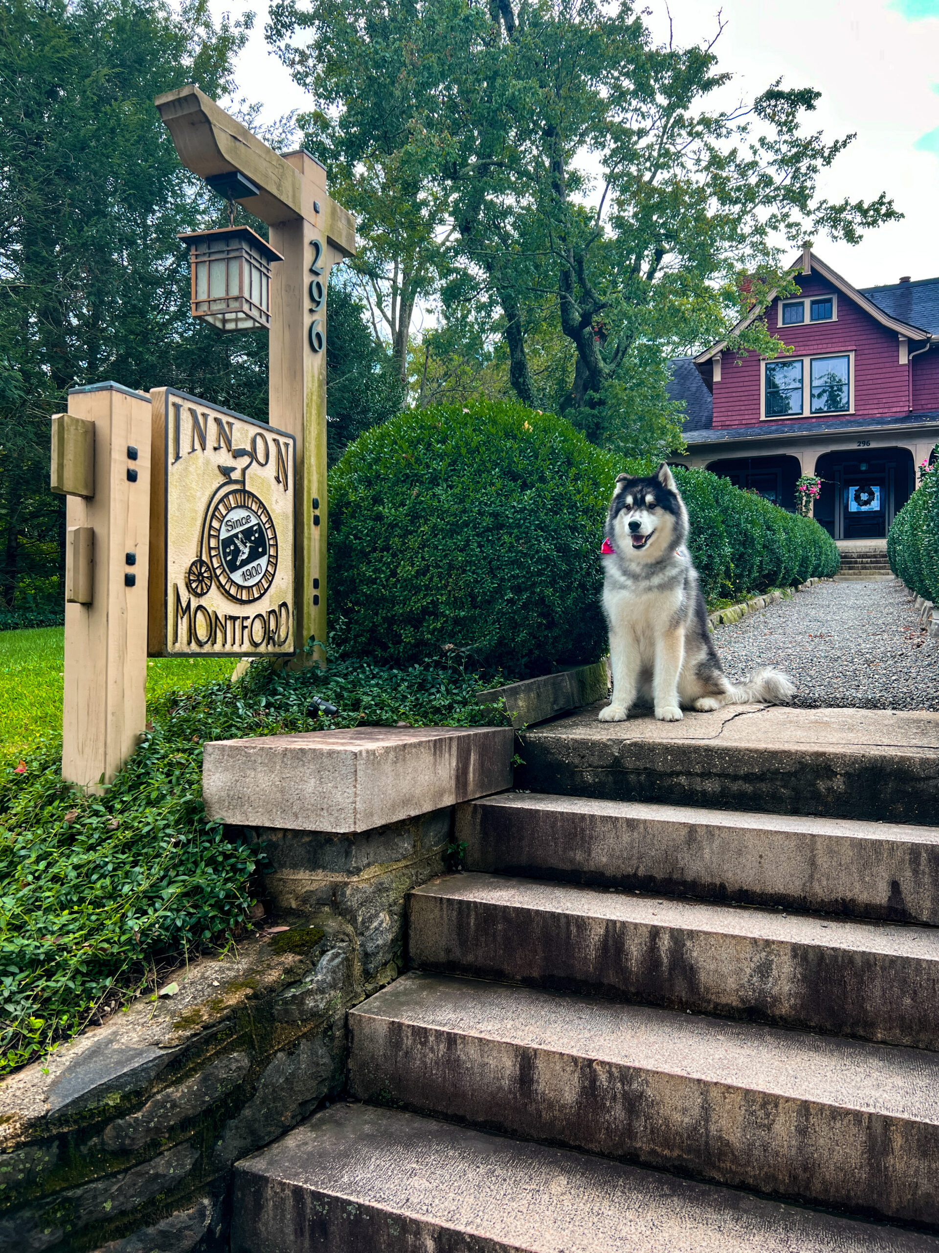 Pet friendly asheville bed and breakfast