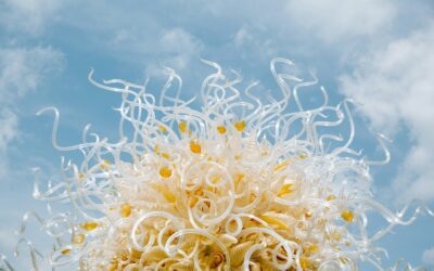 Witness the Magic of Chihuly at Biltmore