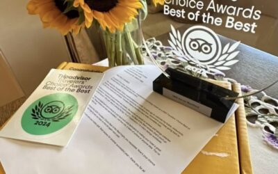 1900 Inn on Montford: Tripadvisor’s The Best of the Best Award Winner